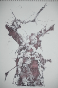2010-2011-jason-stropko-drawings-159